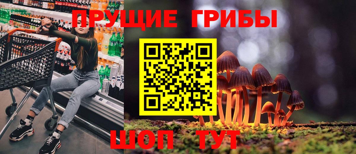 Галлюциногенные грибы Cubensis  Галлюциногенные грибы Psilocybe  Семёнов  Вход с VPN 