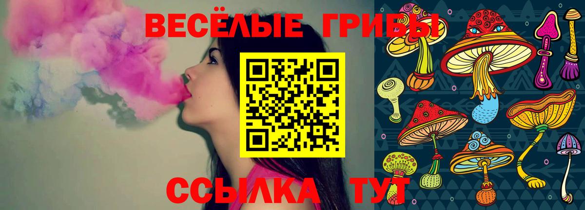 Галлюциногенные грибы Psilocybine cubensis Семёнов